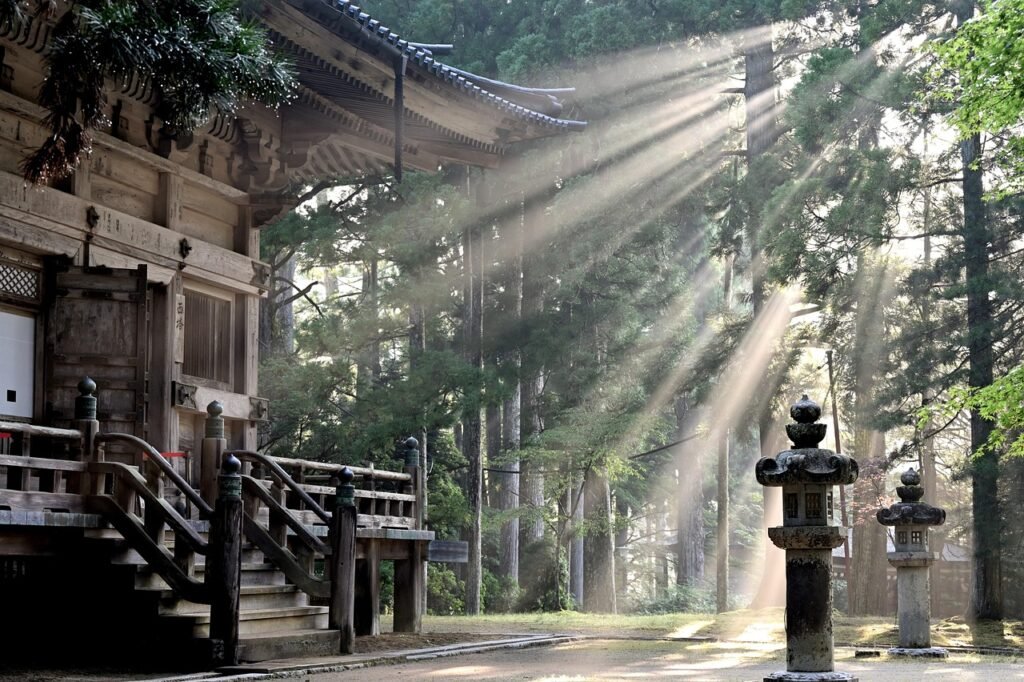About sun rays, forest, koyasan temple, fog, sun beams, nature, trees, japan